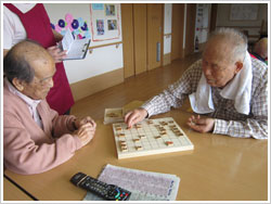 菊見学